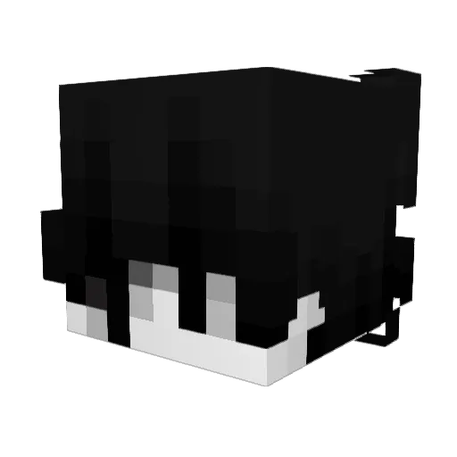 Czikibansior25kg Minecraft avatar head, 3D render