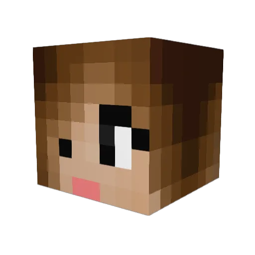 Czokoloko132 Minecraft avatar head, 3D render