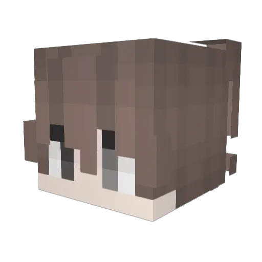 Czsaarssj Minecraft avatar head, 3D render