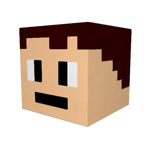 D00GL3 Minecraft avatar head, 3D render