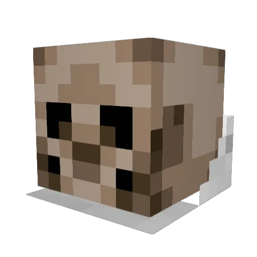 D00MB0Y Minecraft avatar head, 3D render