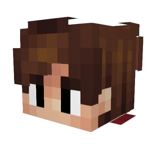 D00S Minecraft avatar head, 3D render