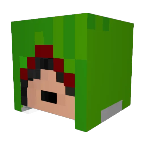D00min8or Minecraft avatar head, 3D render