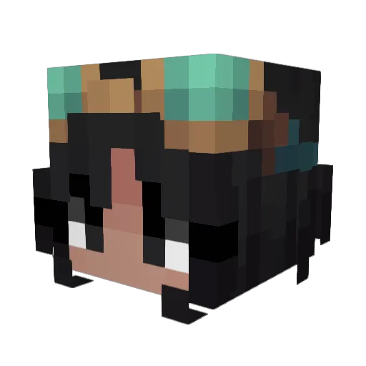 D0C0RCUS Minecraft avatar head, 3D render