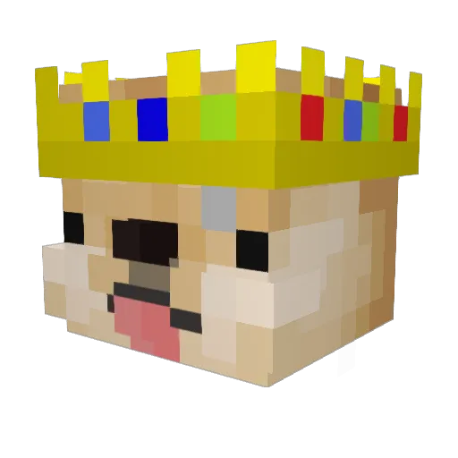 D0GEC0IN Minecraft avatar head, 3D render