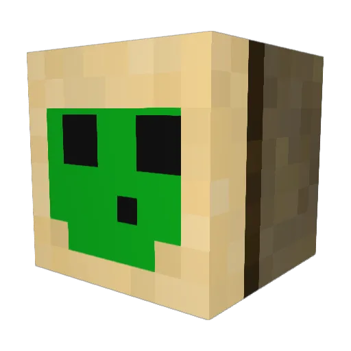 D0L1PRAN3 Minecraft avatar head, 3D render