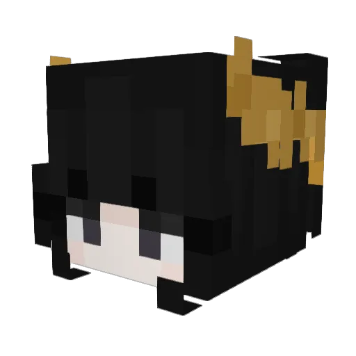 D0LL1E Minecraft avatar head, 3D render