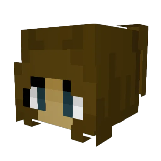 D0MMMMM Minecraft avatar head, 3D render