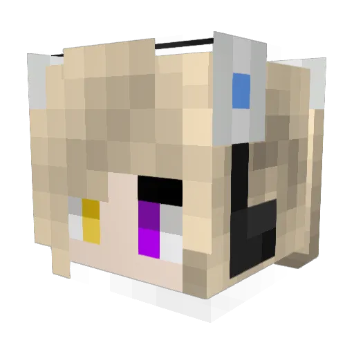 D0S_exe Minecraft avatar head, 3D render