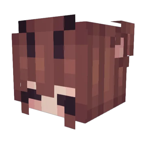 D0TSS Minecraft avatar head, 3D render
