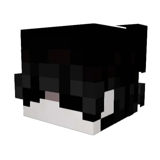 D0V1ZZ Minecraft avatar head, 3D render