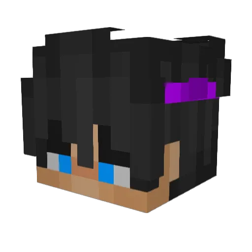 D0lphin005 Minecraft avatar head, 3D render