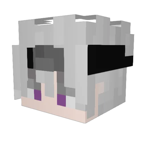 D0m1nus Minecraft avatar head, 3D render