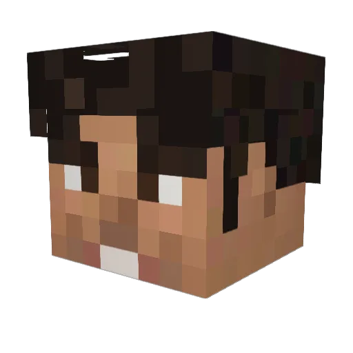 D0mpi Minecraft avatar head, 3D render