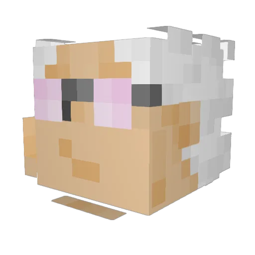 D0nMarius Minecraft avatar head, 3D render