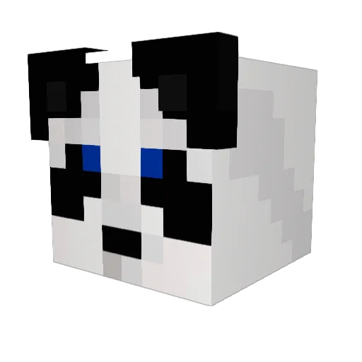 D0nnie Minecraft avatar head, 3D render