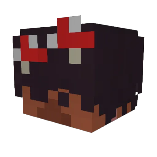 D0ntFr3t Minecraft avatar head, 3D render