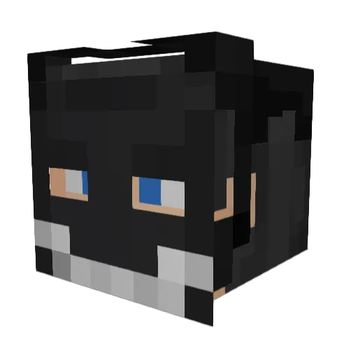 D13ter Minecraft avatar head, 3D render