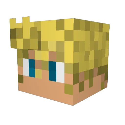 D1995S Minecraft avatar head, 3D render