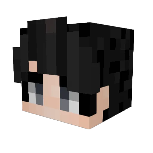 D1GRO Minecraft avatar head, 3D render