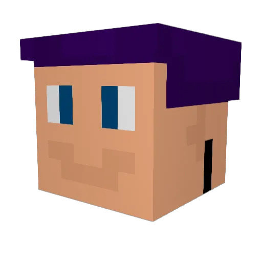 D1NGUSP1NGUS Minecraft avatar head, 3D render