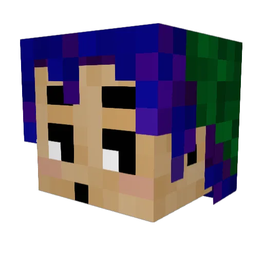 D1NOS4RUS Minecraft avatar head, 3D render