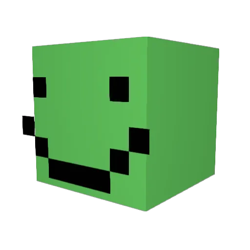 D1Pickleball Minecraft avatar head, 3D render