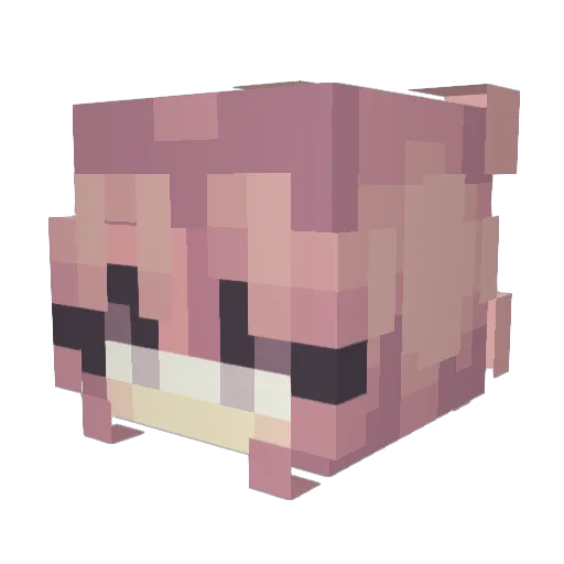 D1amondLoll1 Minecraft avatar head, 3D render