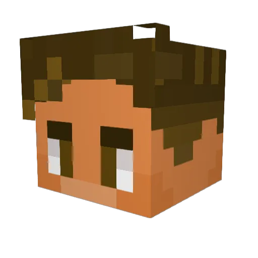 D1ck_Richardson Minecraft avatar head, 3D render