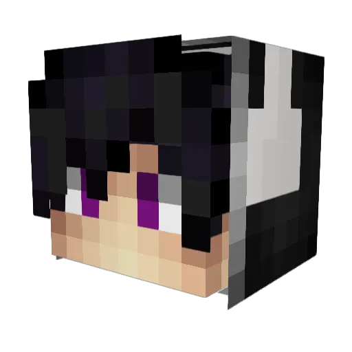 D1end Minecraft avatar head, 3D render