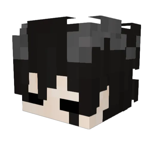 D1sGusSsT Minecraft avatar head, 3D render