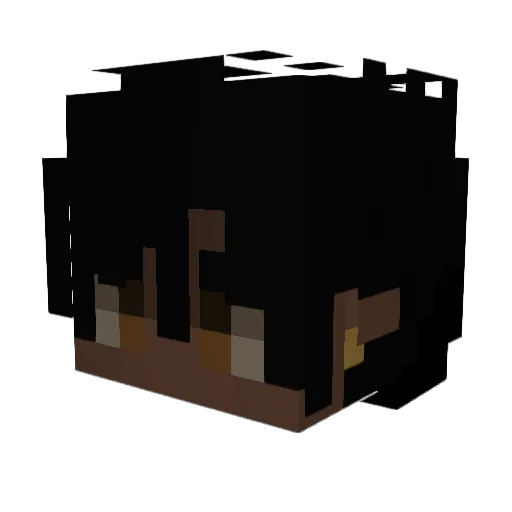 D2FL4K0S Minecraft avatar head, 3D render