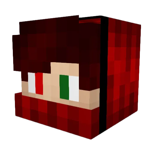 D2T3N9 Minecraft avatar head, 3D render