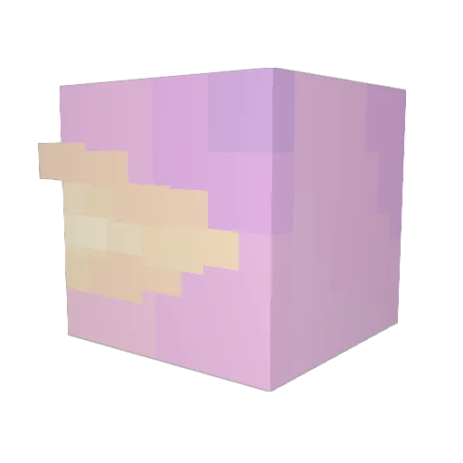D2V Minecraft avatar head, 3D render