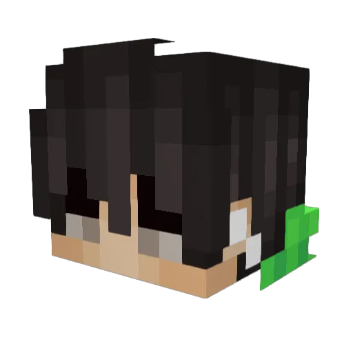 D31126 Minecraft avatar head, 3D render