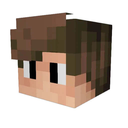 D311 Minecraft avatar head, 3D render