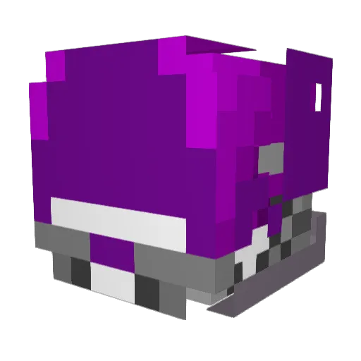 D35TROY3R779 Minecraft avatar head, 3D render