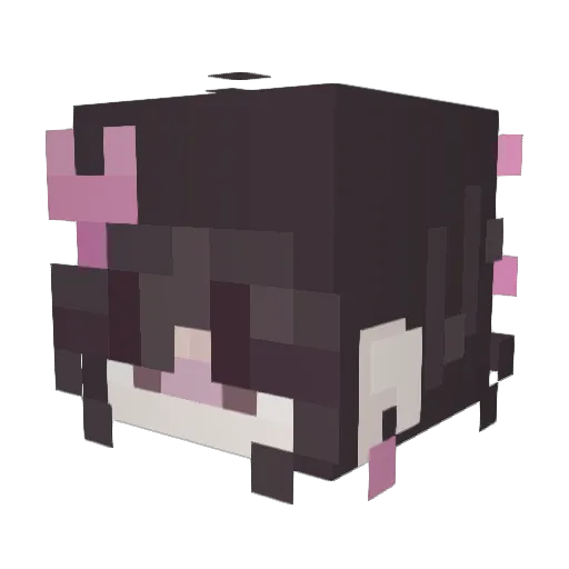 D3DS8C Minecraft avatar head, 3D render