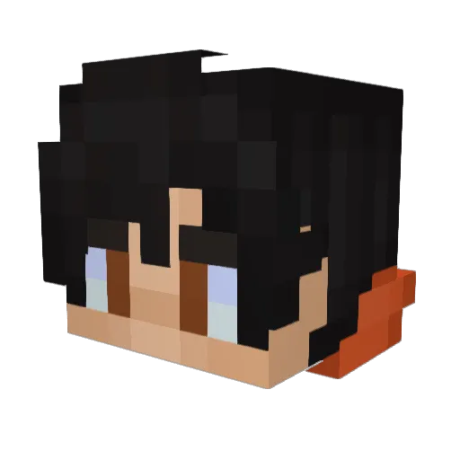 D3NI1020 Minecraft avatar head, 3D render