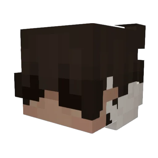 D3Plays Minecraft avatar head, 3D render