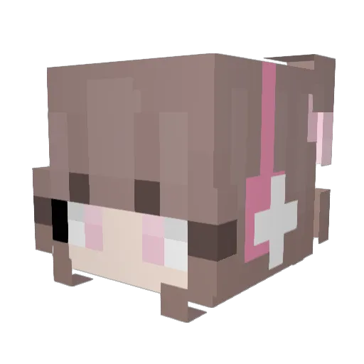 D3ST1NY Minecraft avatar head, 3D render