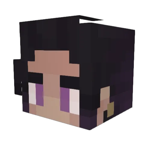 D3ThetaSigmaX2 Minecraft avatar head, 3D render