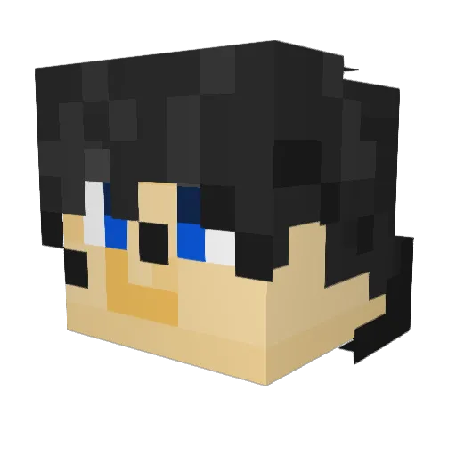 D3V11_ Minecraft avatar head, 3D render