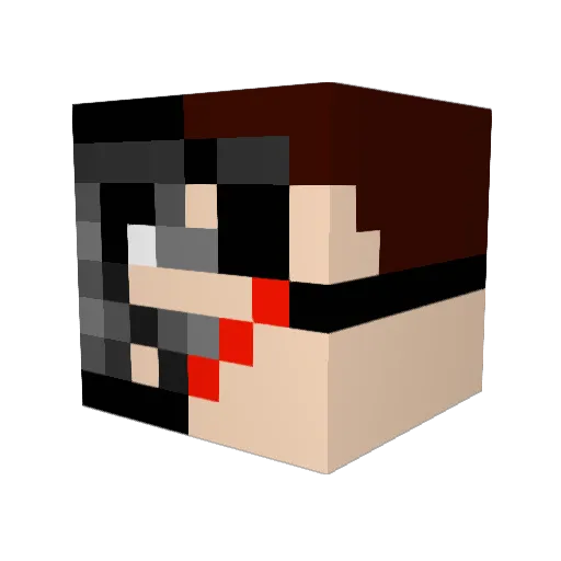 D3athMach1n3811 Minecraft avatar head, 3D render