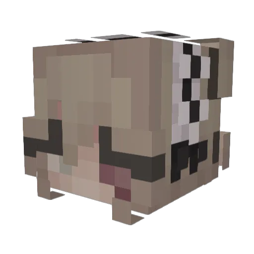 D3m0n_XD Minecraft avatar head, 3D render