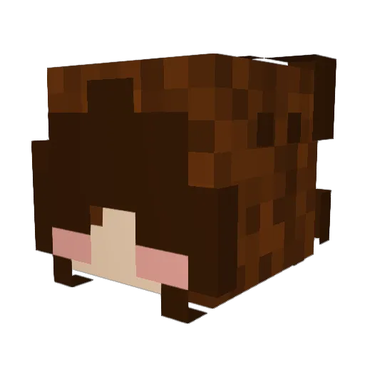 D3mi__ Minecraft avatar head, 3D render