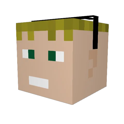 D3nk3 Minecraft avatar head, 3D render