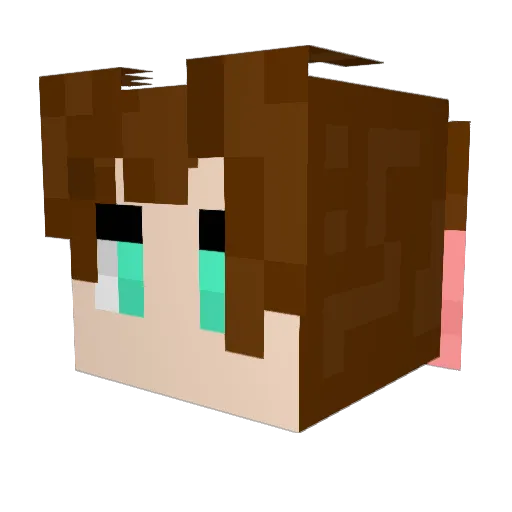 D3rpina Minecraft avatar head, 3D render