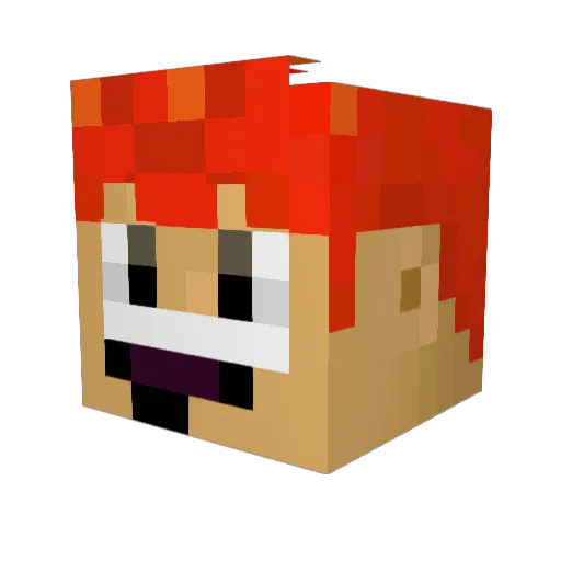 D3sBoy Minecraft avatar head, 3D render