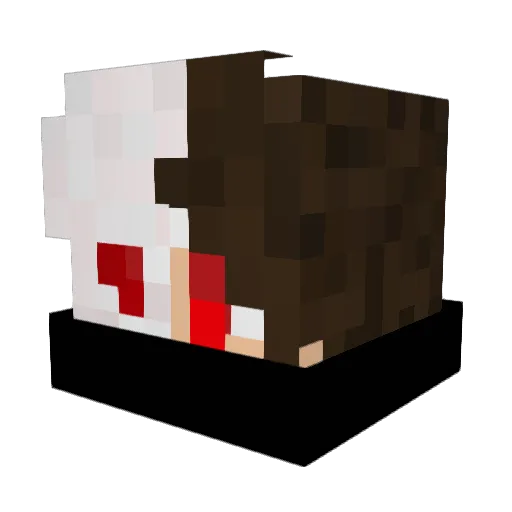 D3sForEver_ Minecraft avatar head, 3D render